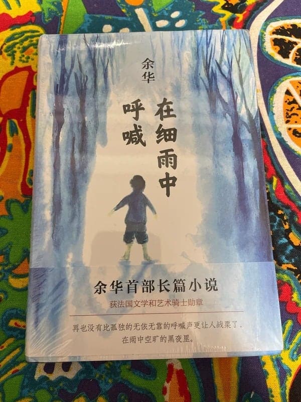 在细雨中呼喊